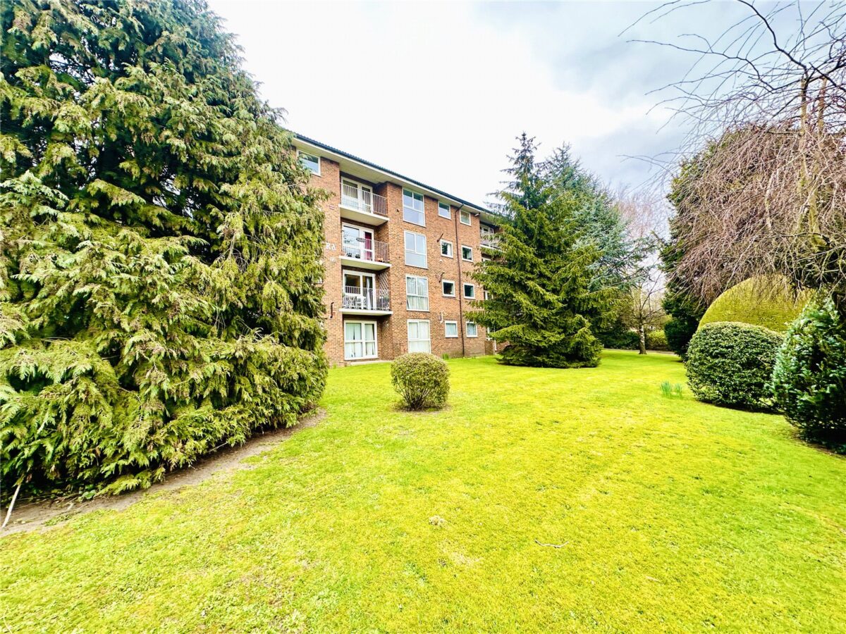 scrsah scr210386 img 00