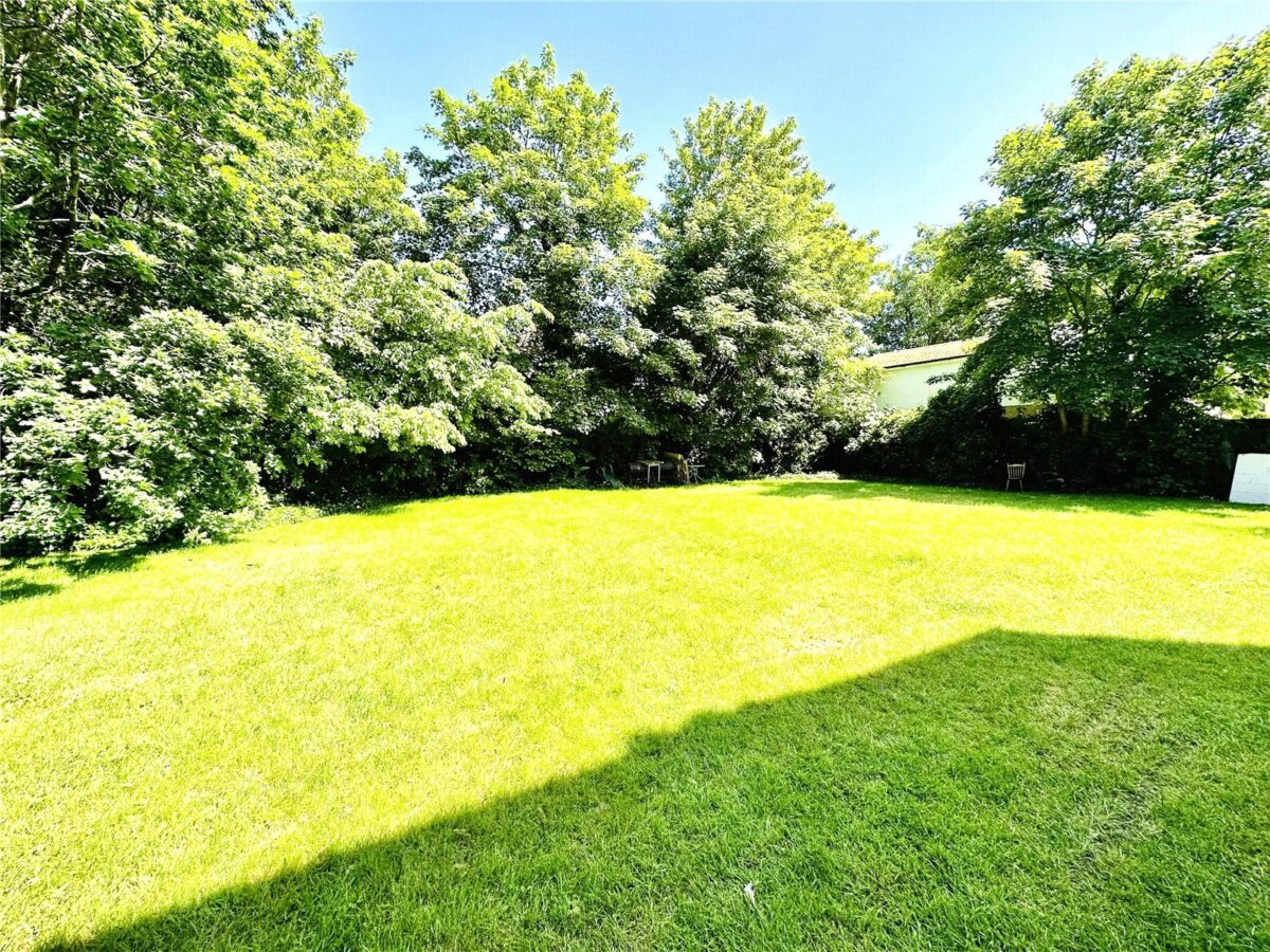 scrsah scr240382 img 00